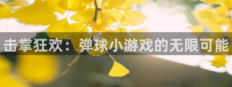 击掌狂欢：弹球小游戏的无限可能