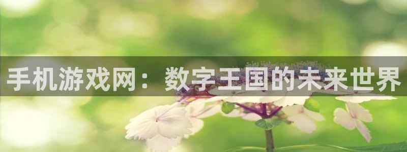 加拿大南宫集团