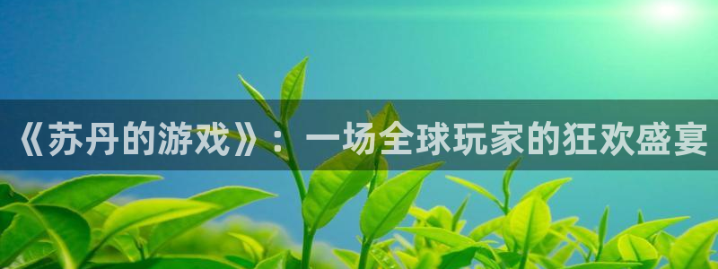 ng28南宫娱乐官网正版