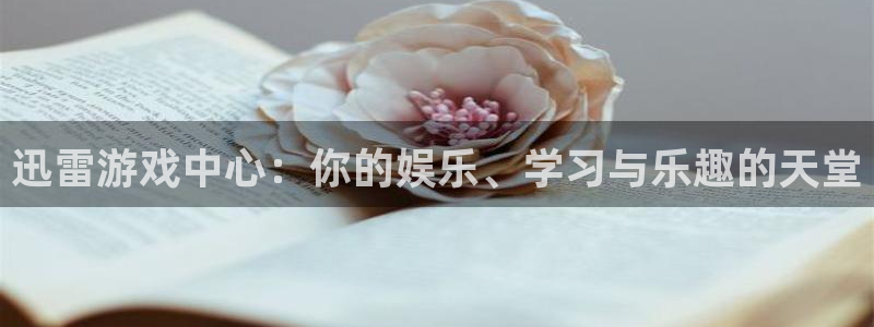 南宫出品是真货吗：迅雷游戏中心：你的娱乐、学习与乐趣的天堂