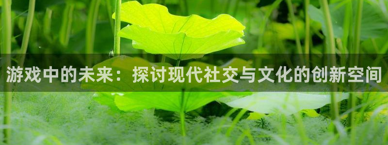 南宫28ng娱乐官网：游戏中的未来：探讨现代社交与文化的创新