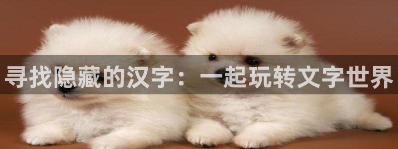 南宫国际pc28：寻找隐藏的汉字：一起玩转文字世界