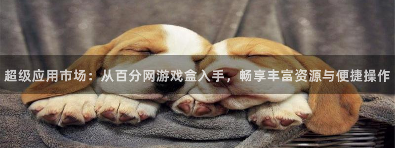 南宫下载：超级应用市场：从百分网游戏盒入手，畅享丰富资源与便