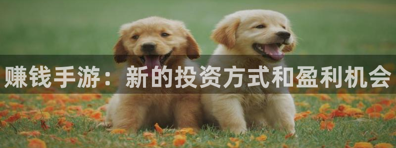 南宫平台登录入口：赚钱手游：新的投资方式和盈利机会