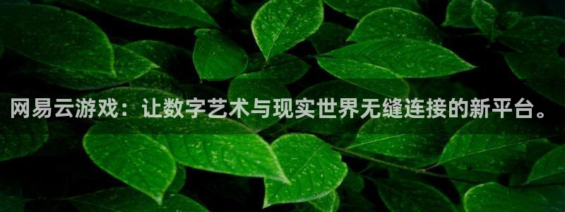 南宫ngapp下载：网易云游戏：让数字艺术与现实世界无缝连接