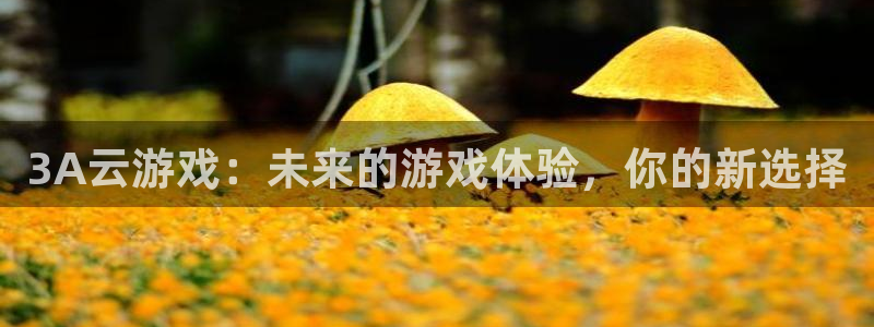 南宫娱乐集团老板是谁啊视频：3A云游戏：未来的游戏体验，你的